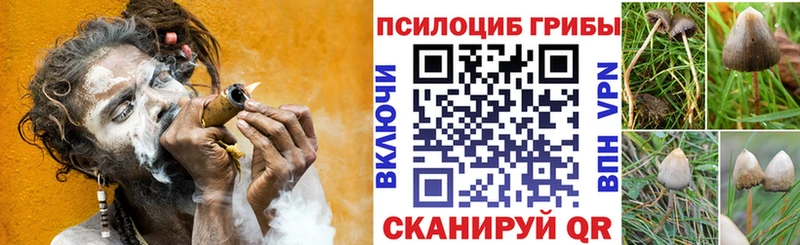 Псилоцибиновые грибы Magic Shrooms  Сычёвка 