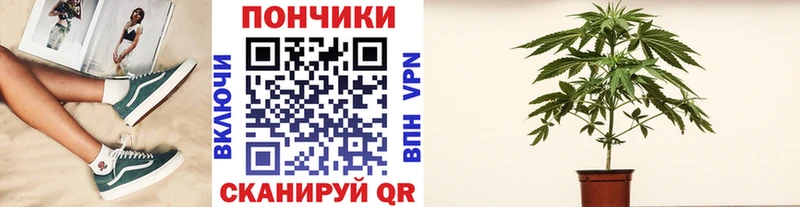 Бошки Шишки THC 21% купить наркотики сайты Сычёвка